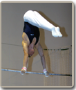 barre-fixe.png